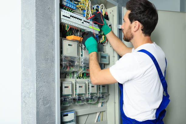 Best Electric Panel Repair  in Corunna, MI